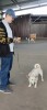 Посещение Нижегородского благотворительного фонда защиты животных "Сострадание НН" 3